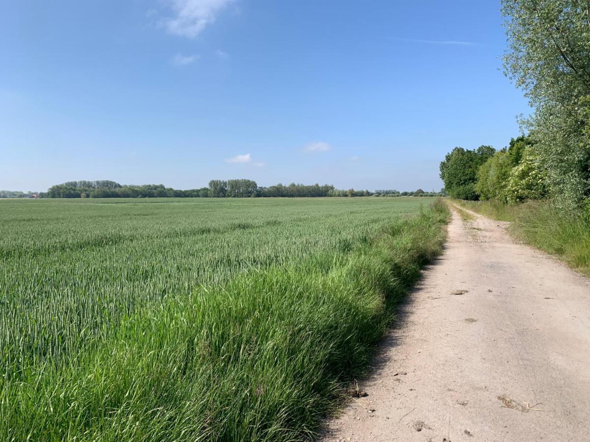 De Scheure, Charmant Vakantiehuisje Midden In De Natuur Alveringem Extérieur photo
